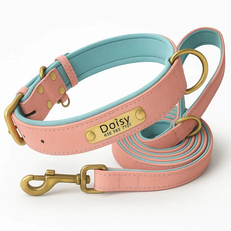 Set Collier Laisse Cuir Gros Chien