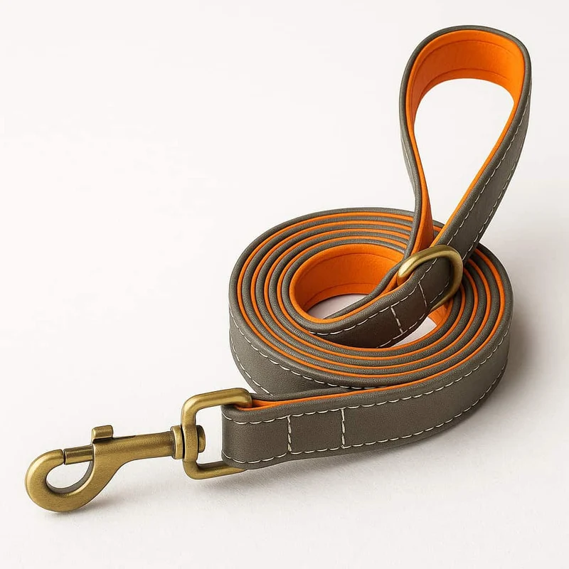 Set Collier Laisse Cuir Gros Chien