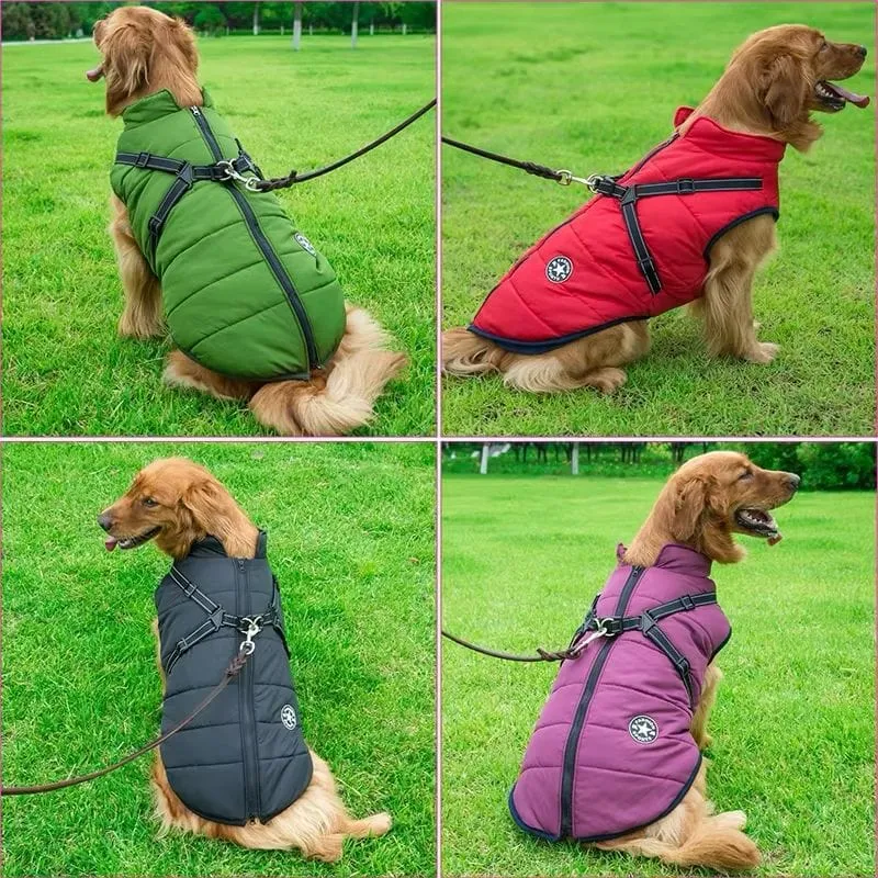 Manteau Imperméable Hiver Gros Chien Harnais Intégré