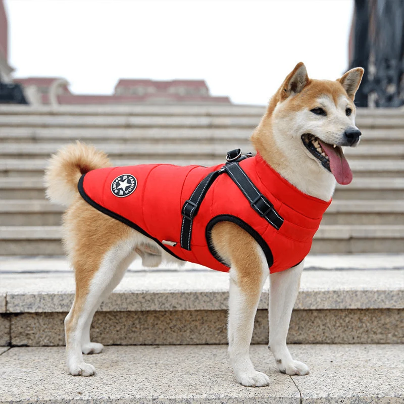 Manteau Imperméable Hiver Gros Chien Harnais Intégré