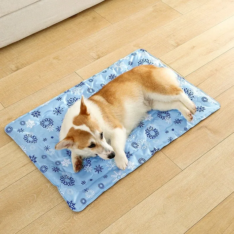 Tapis Rafraîchissant Eau Gros Chien