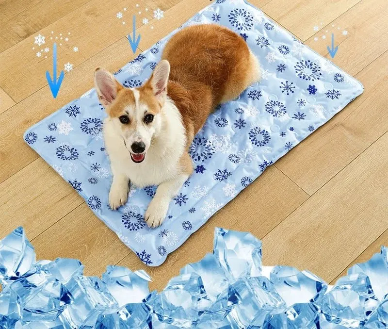 Tapis Rafraîchissant Eau Gros Chien