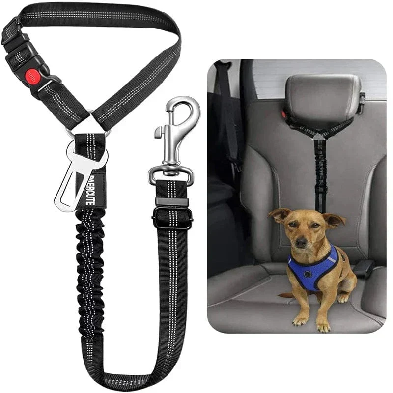 Harnais Ceinture Sécurité Voiture Gros Chien
