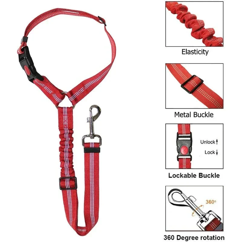 Harnais Ceinture Sécurité Voiture Gros Chien