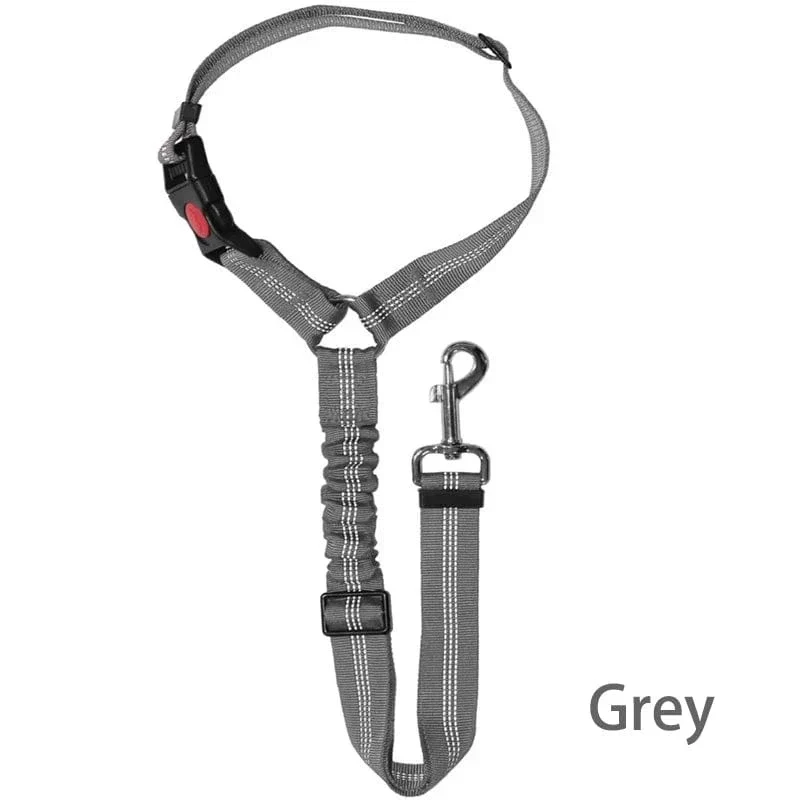 Harnais Ceinture Sécurité Voiture Gros Chien