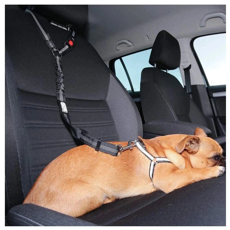 Harnais Ceinture Sécurité Voiture Gros Chien