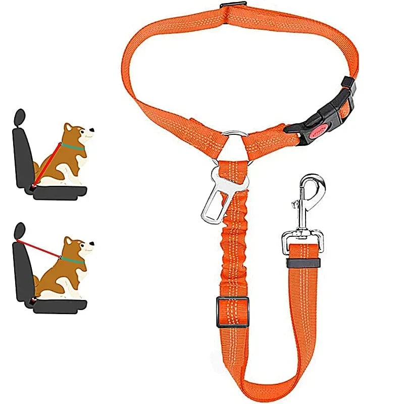 Harnais Ceinture Sécurité Voiture Gros Chien