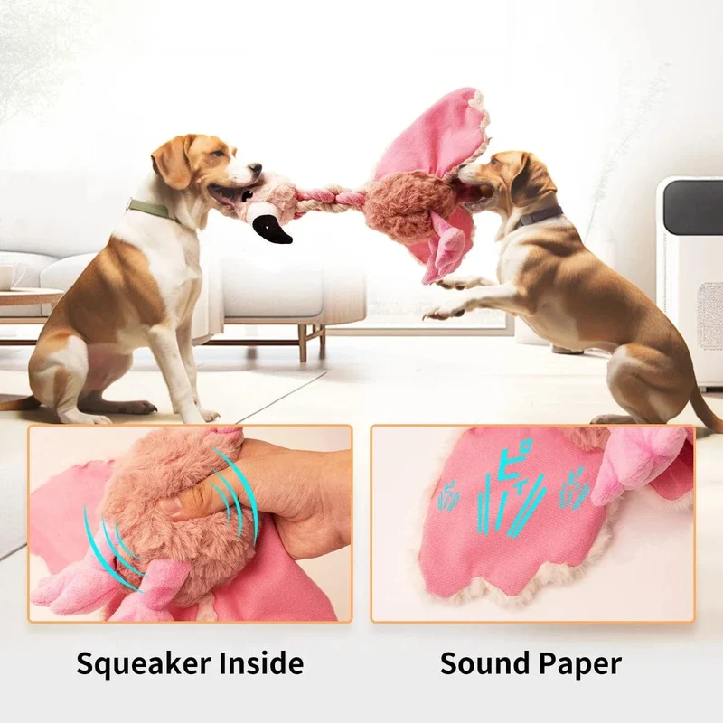Peluche Oiseau Corde Sonore Gros Chien
