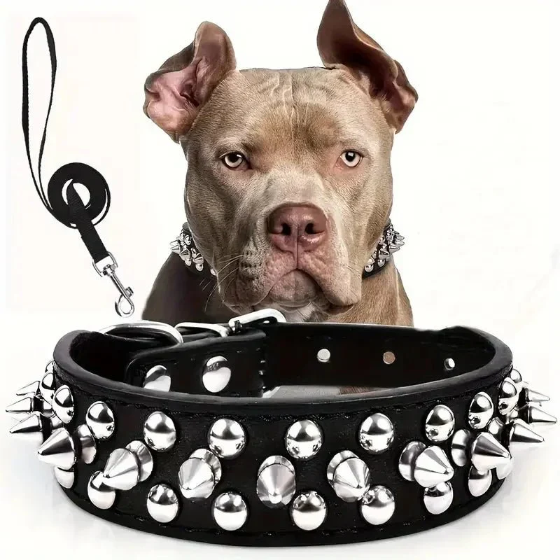 Collier Clouté Cuir Résistant Gros Chien