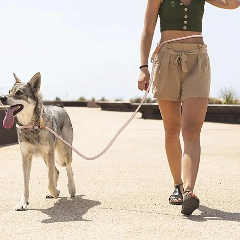 Laisse Lasso Réfléchissante Nylon Gros Chien
