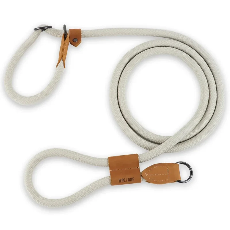 Laisse Lasso Réfléchissante Nylon Gros Chien