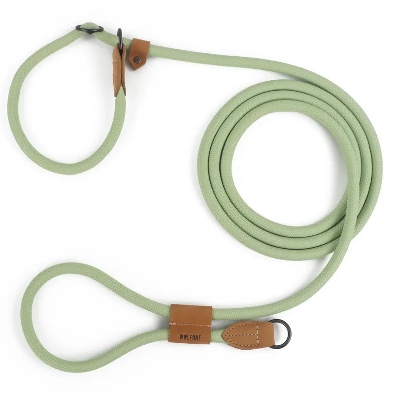 Laisse Lasso Réfléchissante Nylon Gros Chien