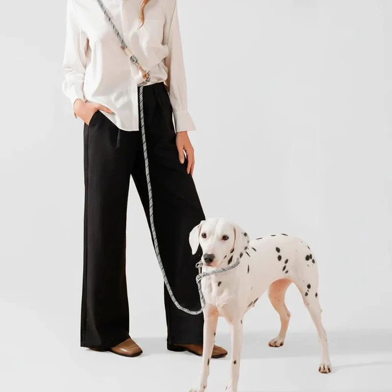 Laisse Lasso Design Anti-Traction Gros Chien