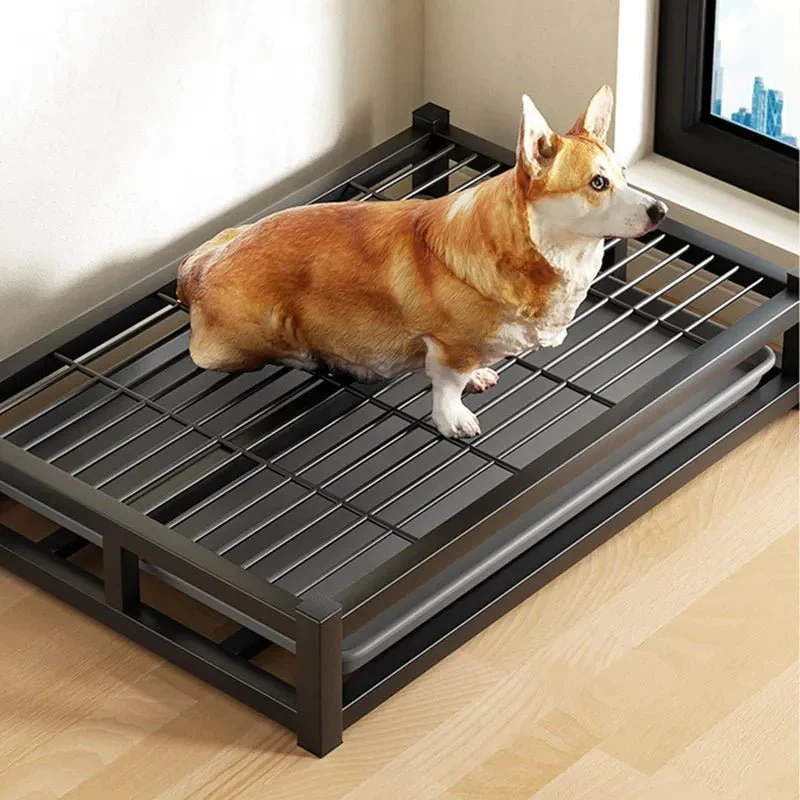 Toilette Hygiénique Réutilisable Gros Chien Intérieur