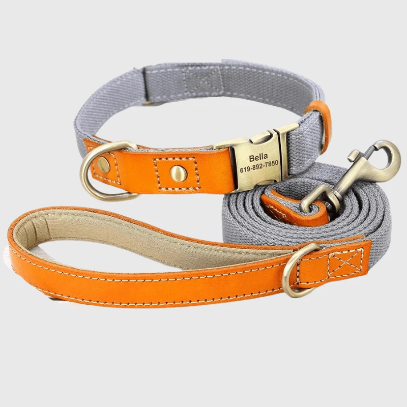 Set Collier Laisse Nylon Gros Chien Ajustable