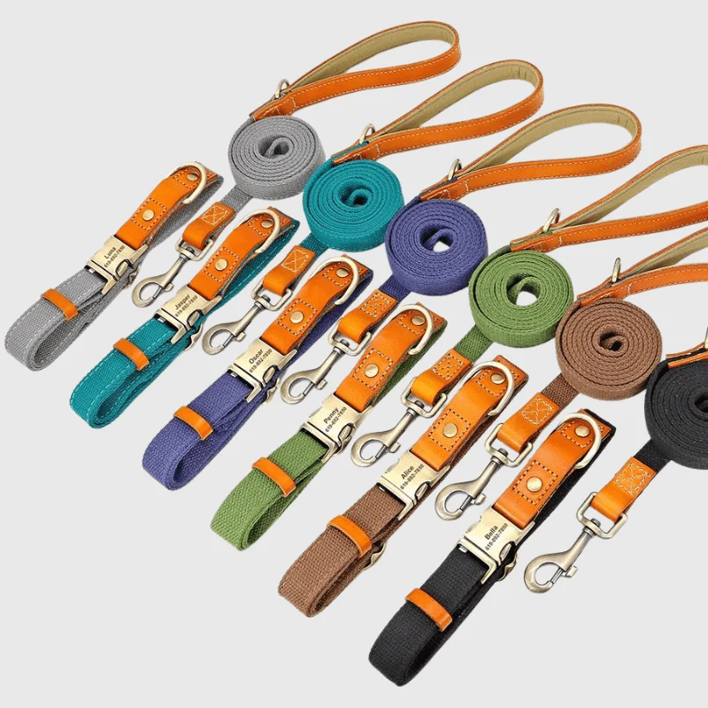 Set Collier Laisse Nylon Gros Chien Ajustable
