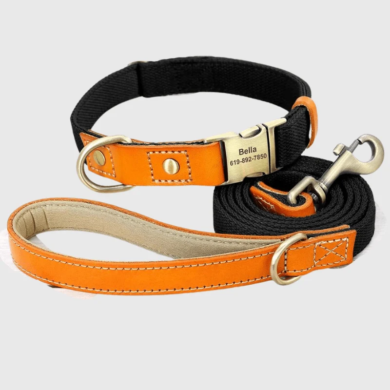 Set Collier Laisse Nylon Gros Chien Ajustable