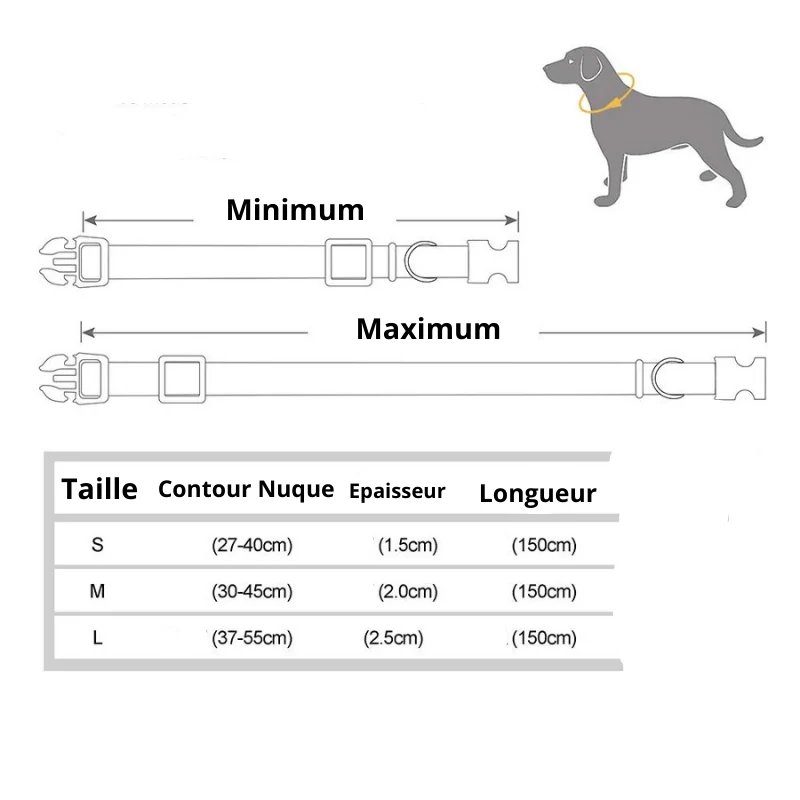 Set Collier Laisse Nylon Gros Chien Ajustable