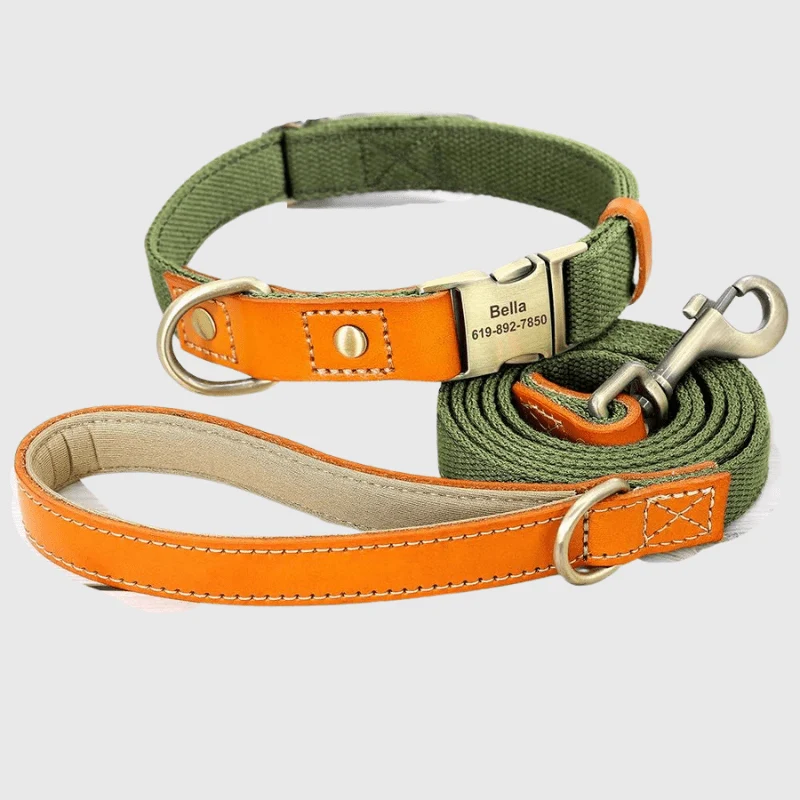 Set Collier Laisse Nylon Gros Chien Ajustable