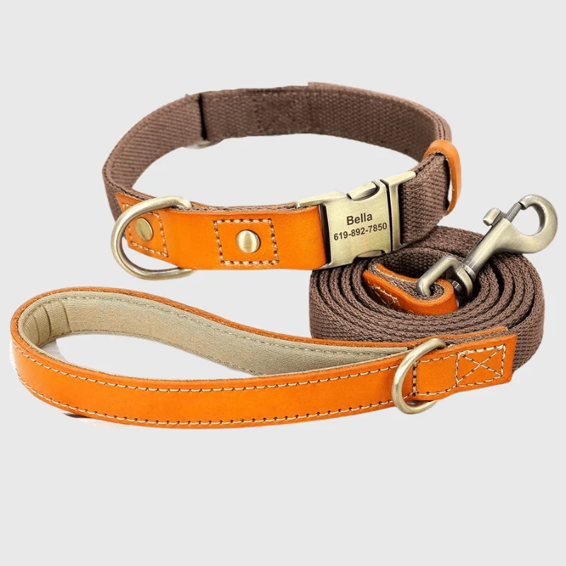 Set Collier Laisse Nylon Gros Chien Ajustable