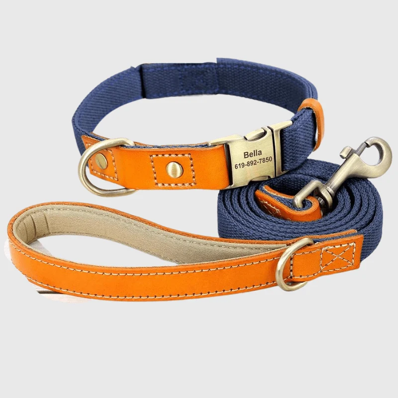 Set Collier Laisse Nylon Gros Chien Ajustable
