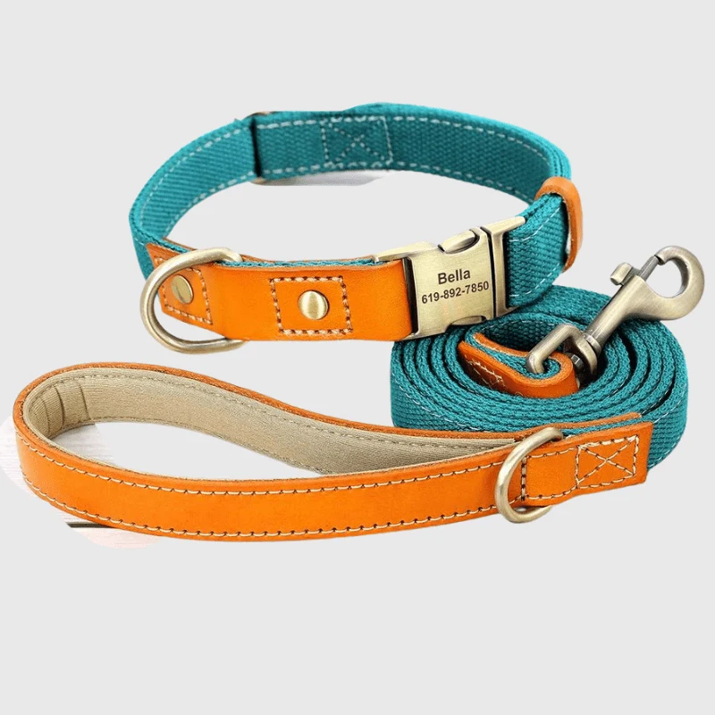 Set Collier Laisse Nylon Gros Chien Ajustable