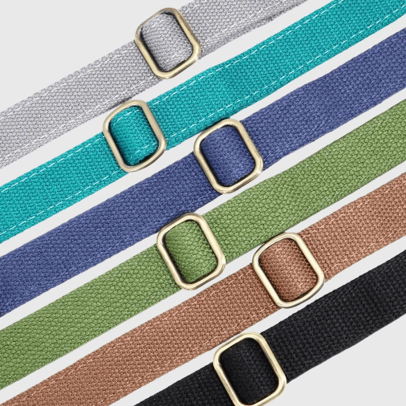Set Collier Laisse Nylon Gros Chien Ajustable