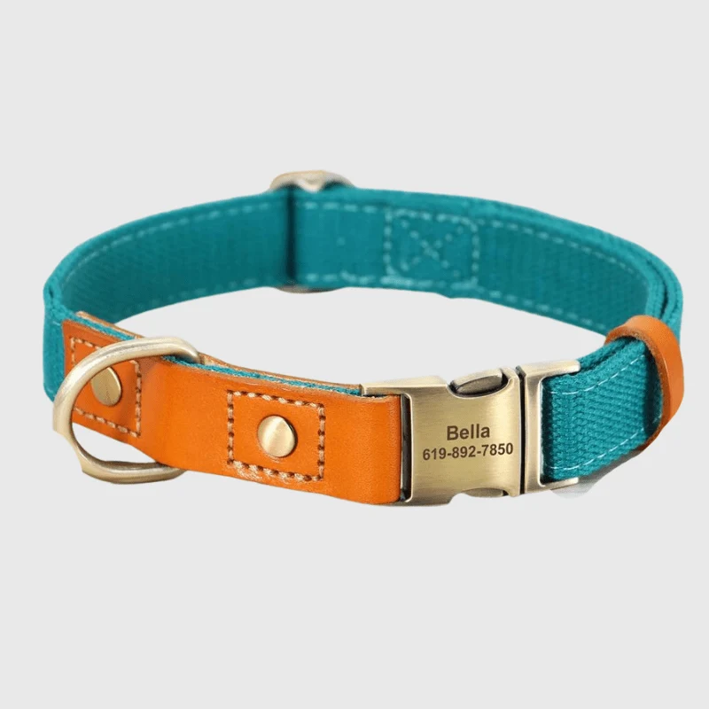 Set Collier Laisse Nylon Gros Chien Ajustable