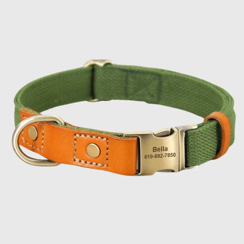 Set Collier Laisse Nylon Gros Chien Ajustable