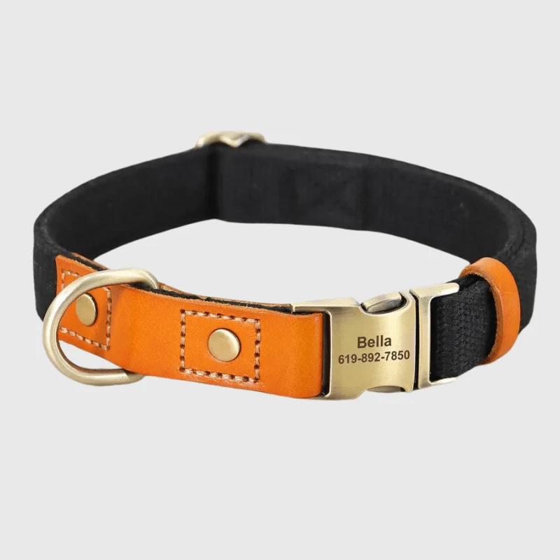 Set Collier Laisse Nylon Gros Chien Ajustable