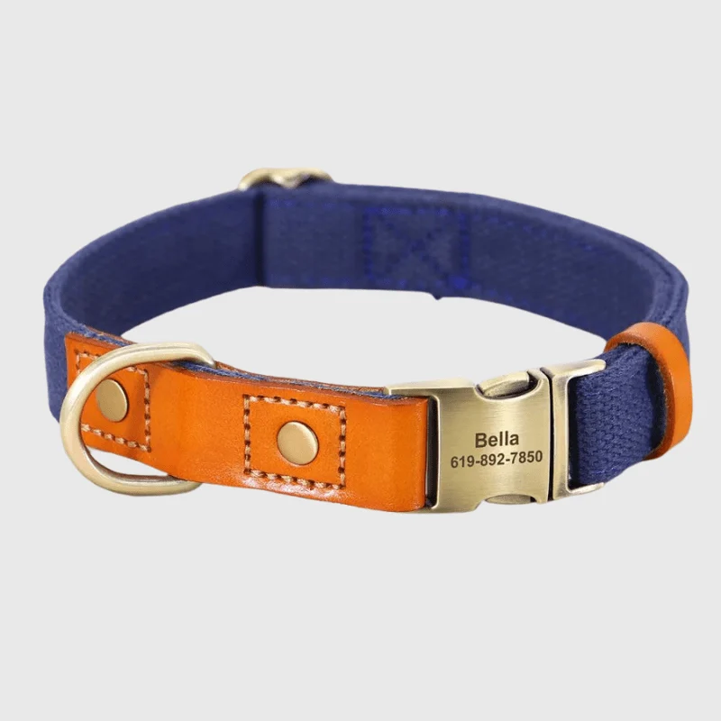 Set Collier Laisse Nylon Gros Chien Ajustable