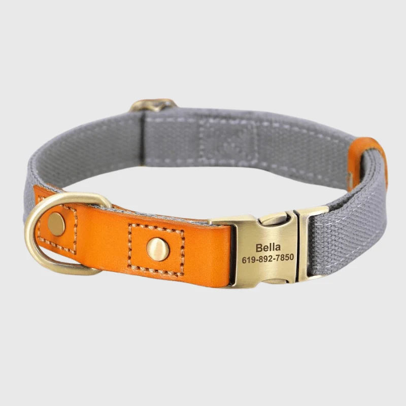 Set Collier Laisse Nylon Gros Chien Ajustable