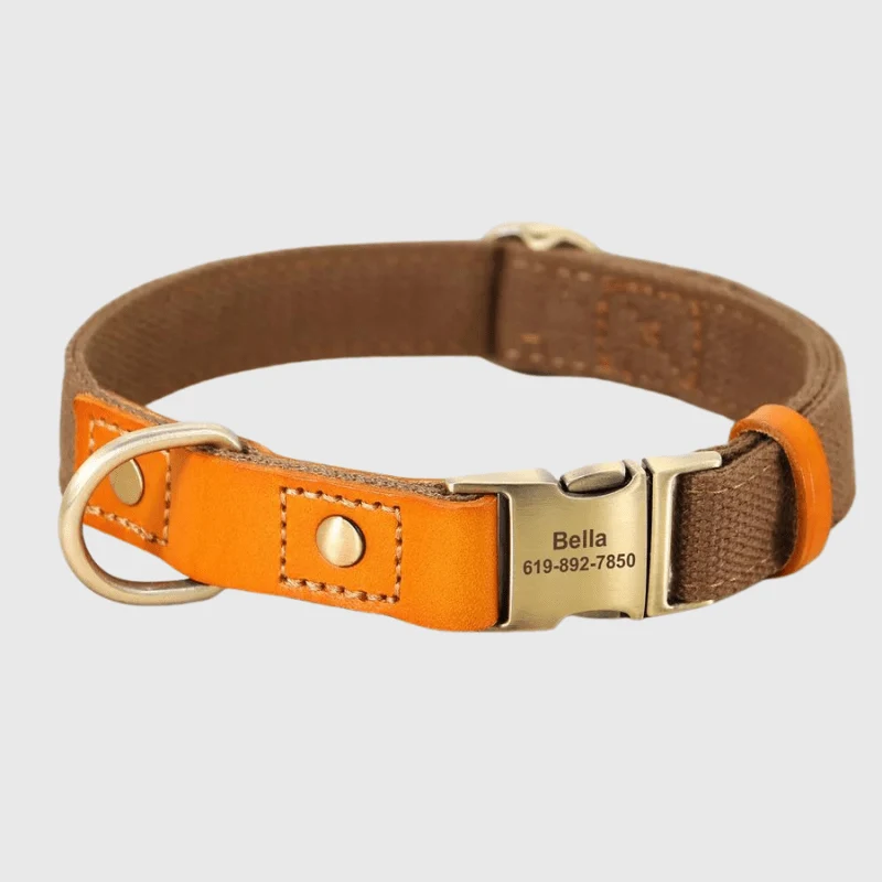 Set Collier Laisse Nylon Gros Chien Ajustable