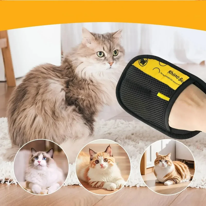 Brosse Anti-Poils Réutilisable Gros Chien Maison