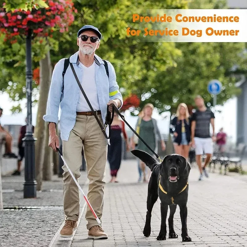 Laisse Cuir Bandoulière Mains Libres Gros Chien