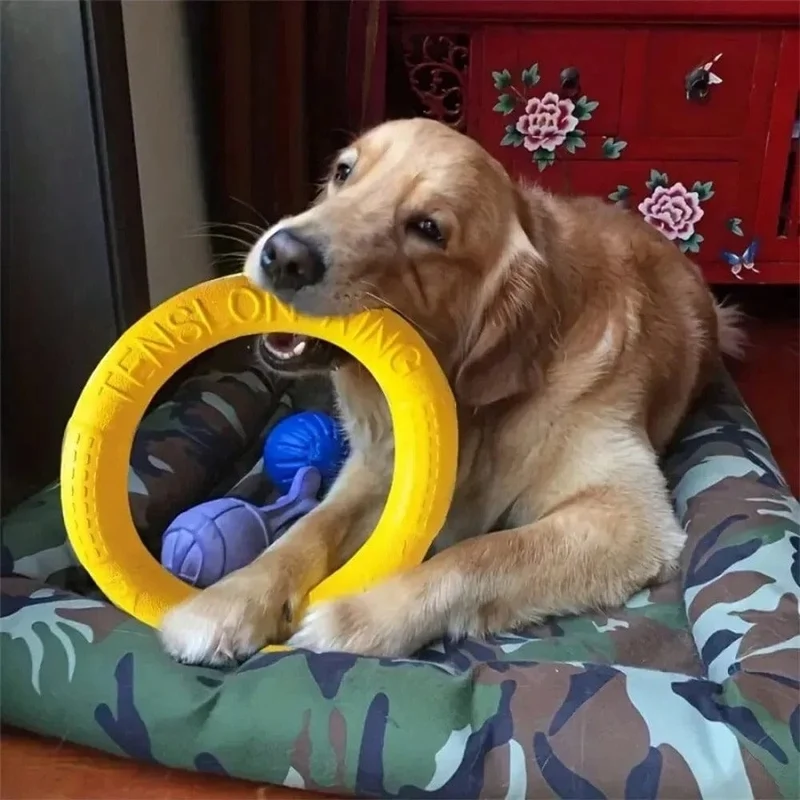 Anneau Flottant Jouet Agilité Tirage Chien