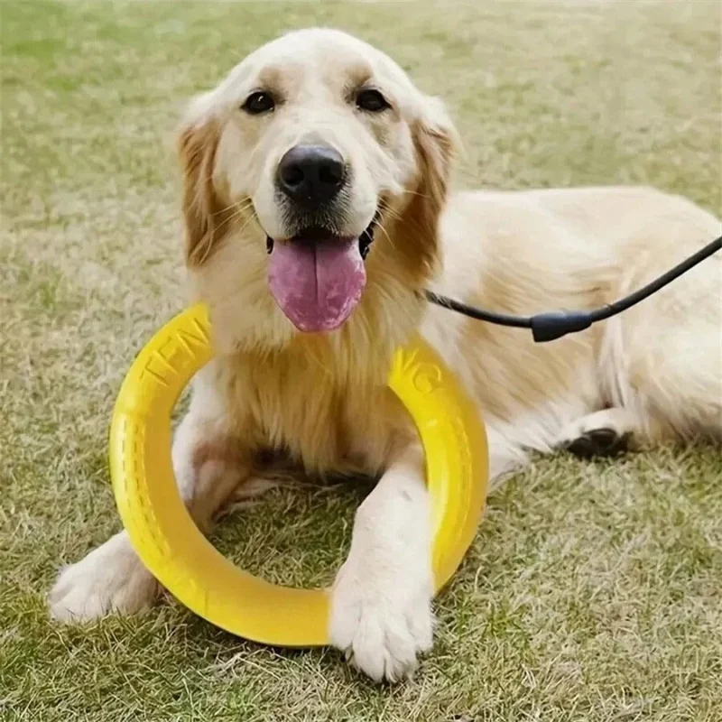 Anneau Flottant Jouet Agilité Tirage Chien