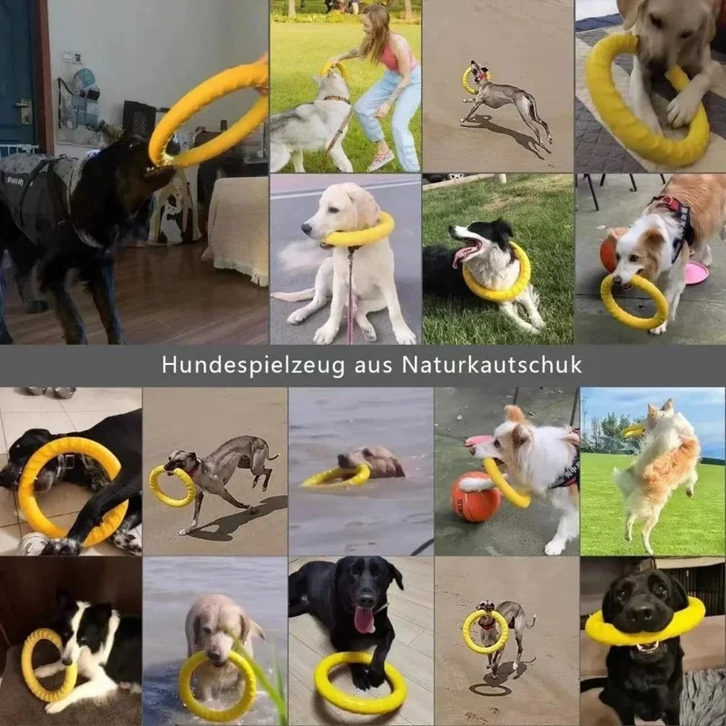Anneau Flottant Jouet Agilité Tirage Chien