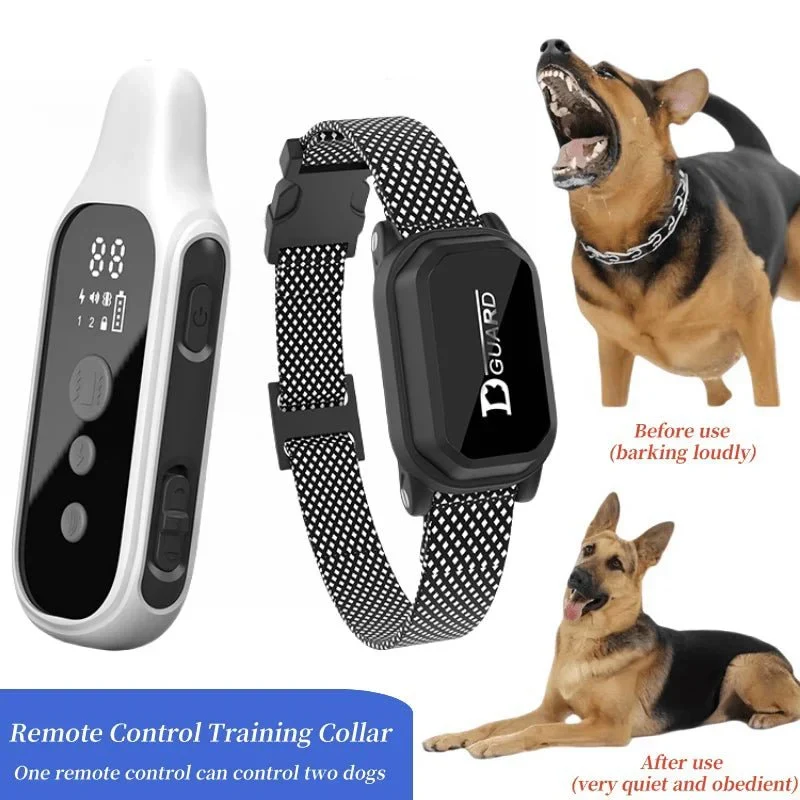 Collier Dressage Numérique 800m Gros Chien IP67