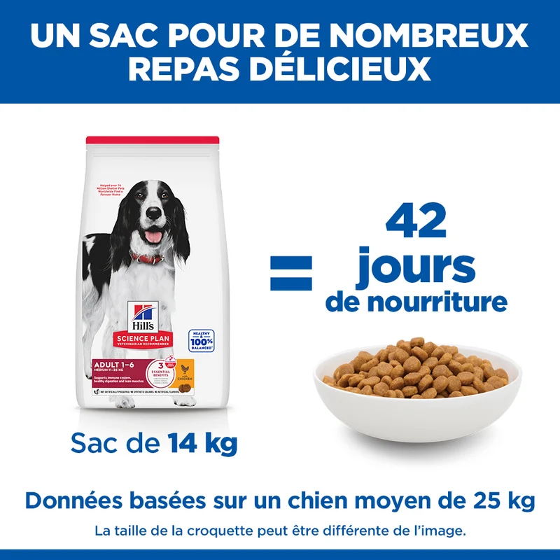 Hill's Science Plan Medium Adulte au poulet - croquettes chien