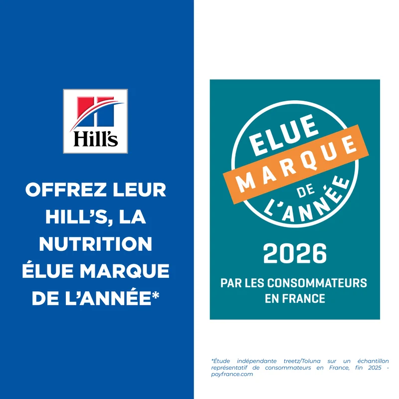 Hill's Science Plan Medium Adulte au poulet - croquettes chien