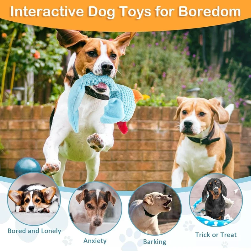 Jouet Squeaky Résistant Gros Chien 5 Modèles