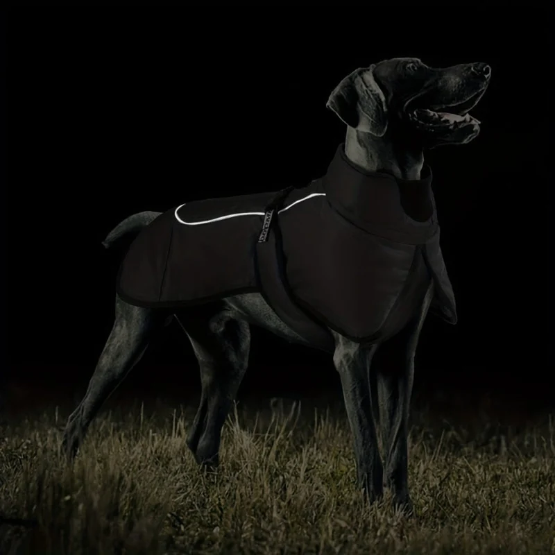 Manteau Hiver Réfléchissant Chien XL 6XL Coloris