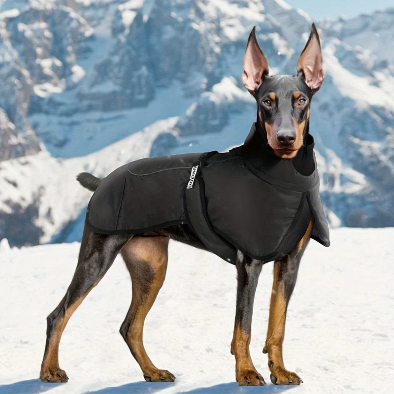 Manteau Hiver Réfléchissant Chien XL 6XL Coloris