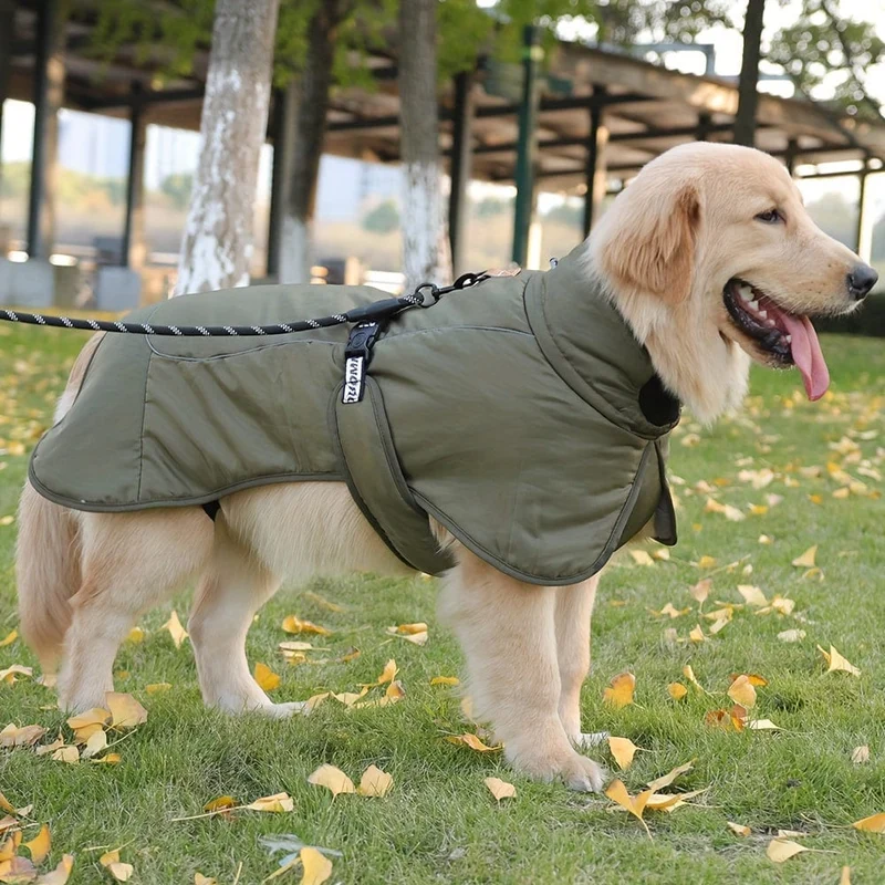 Manteau Hiver Réfléchissant Chien XL 6XL Coloris