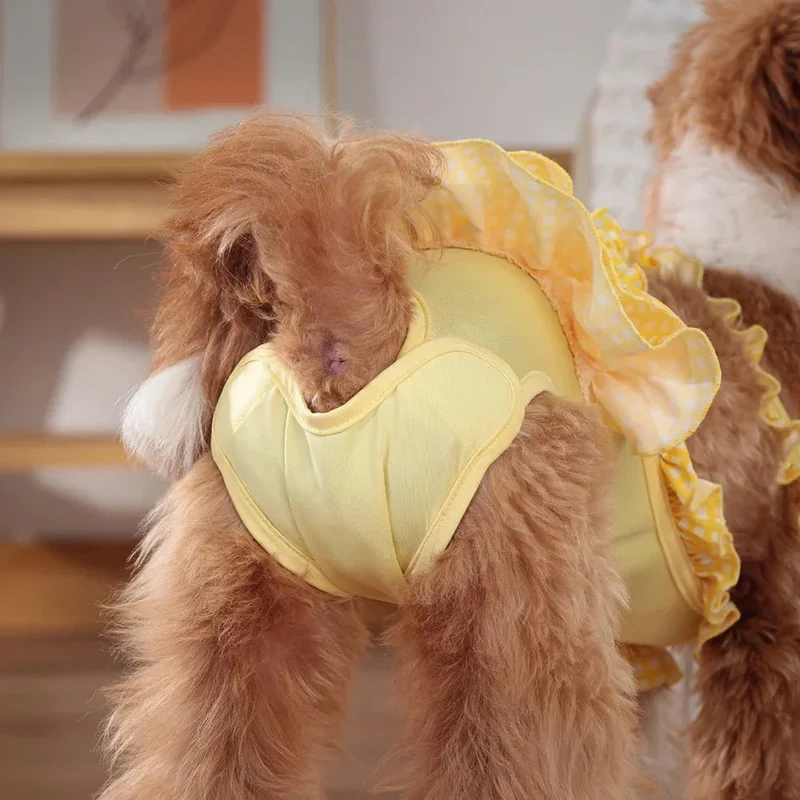 Culotte Hygiénique Robe Chienne Protection