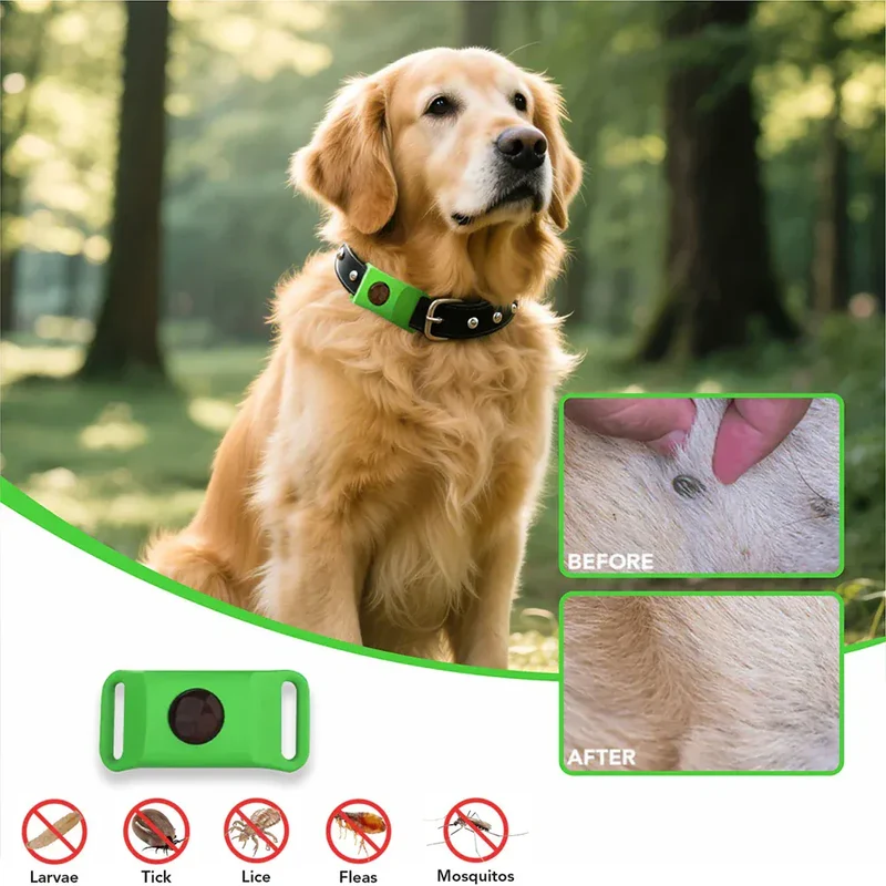 Pendentif Anti-Puces Naturel Chien Huiles Essentielles