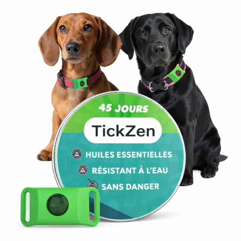 Pendentif Anti-Puces Naturel Chien Huiles Essentielles