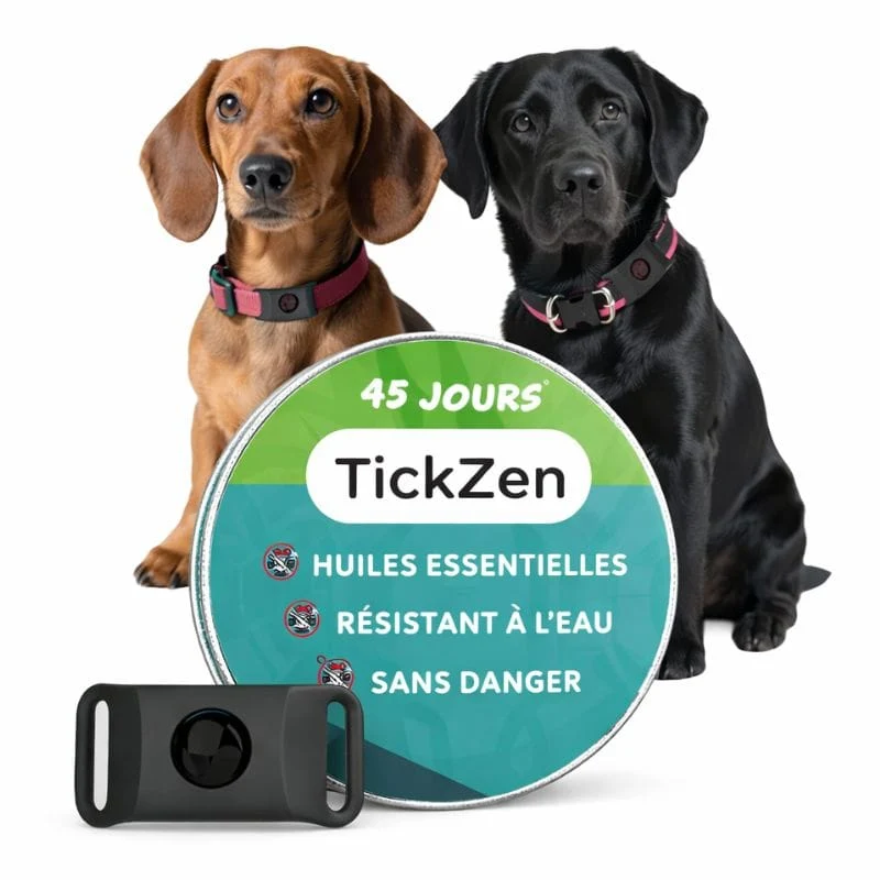 Pendentif Anti-Puces Naturel Chien Huiles Essentielles