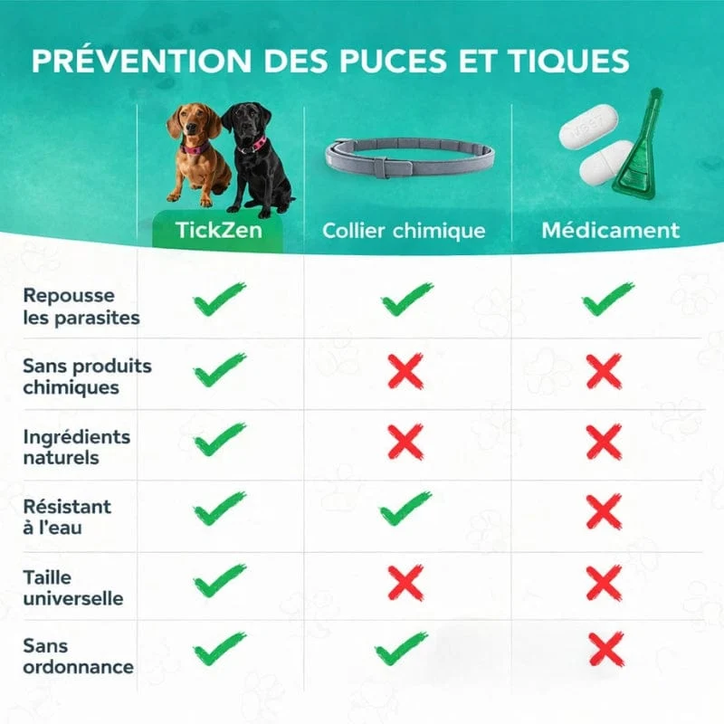 Pendentif Anti-Puces Naturel Chien Huiles Essentielles